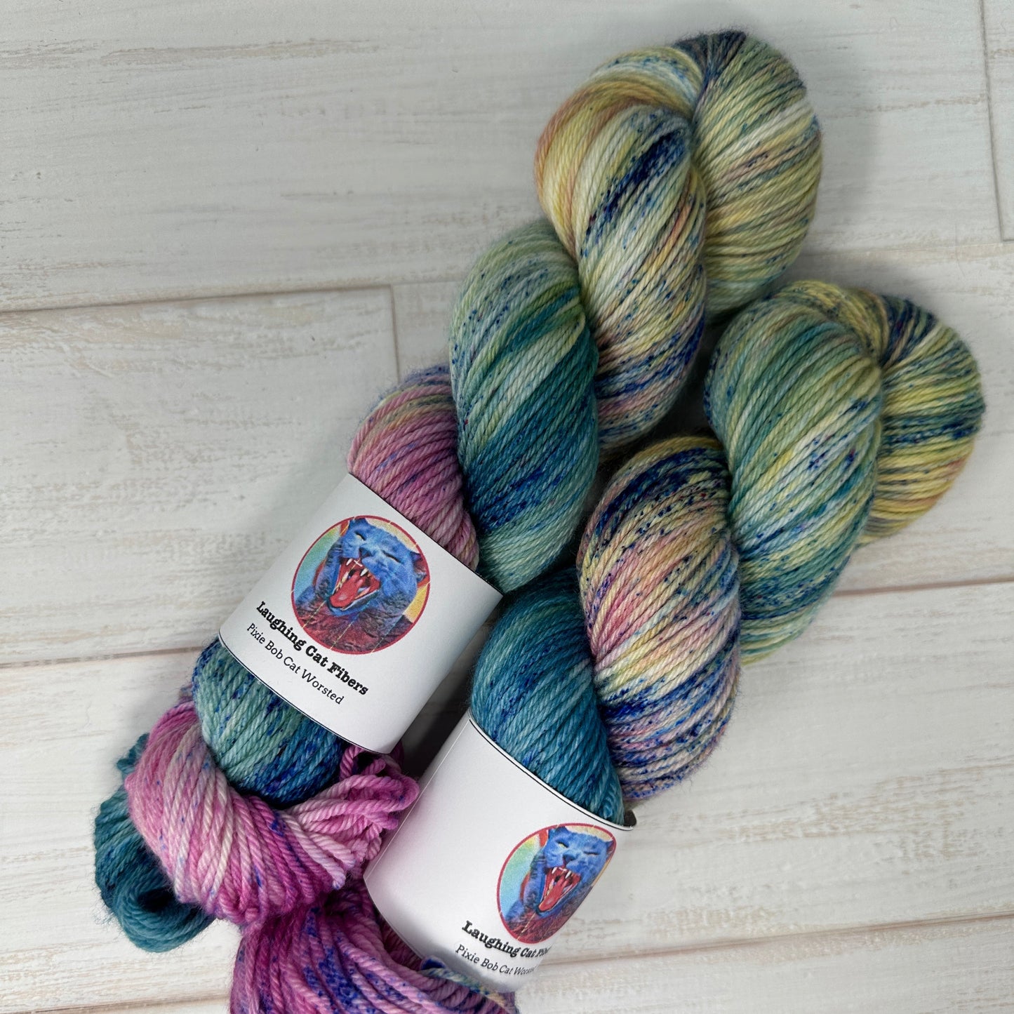 two skeins of hand dyed yarn by Laughing Cat Fibers 