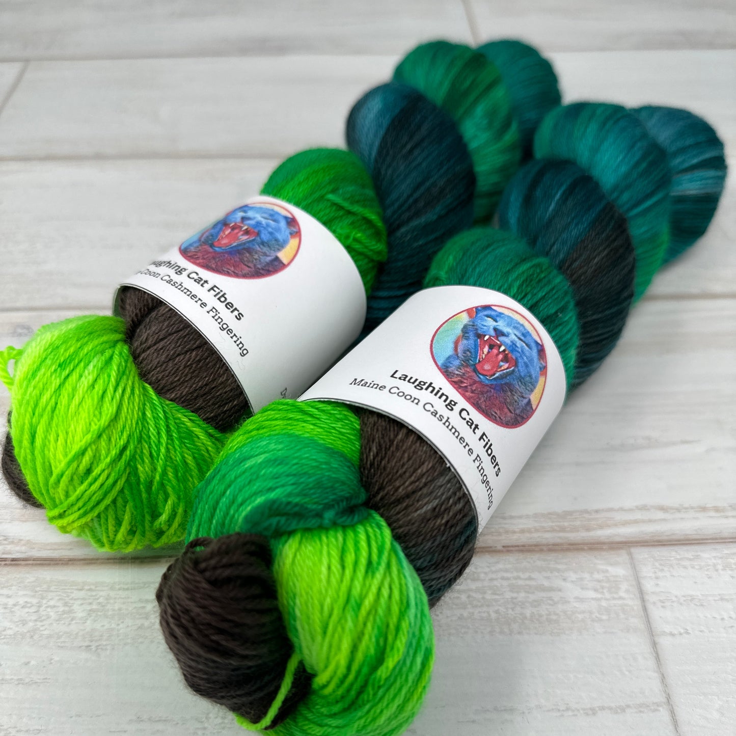 two skeins of hand dyed fingering yarn by Laughing Cat Fibers in their Circe colorway 