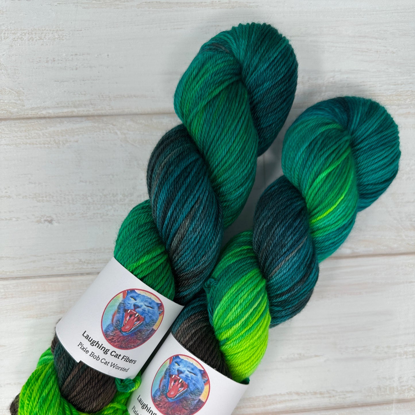 worsted yarn hand dyed by Laughing Cat Fibers in their Circe colorwauy