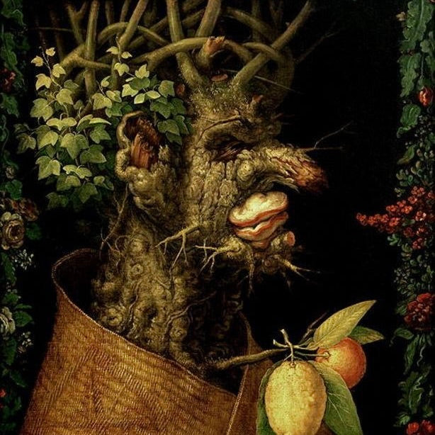 Close-up of a root-like creature with a basket and fruits in a dark background