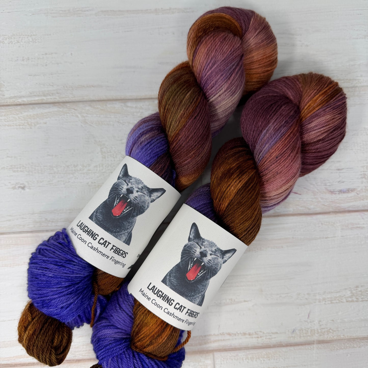 Two skeins of multicolored yarn based on the book The Color Purple 