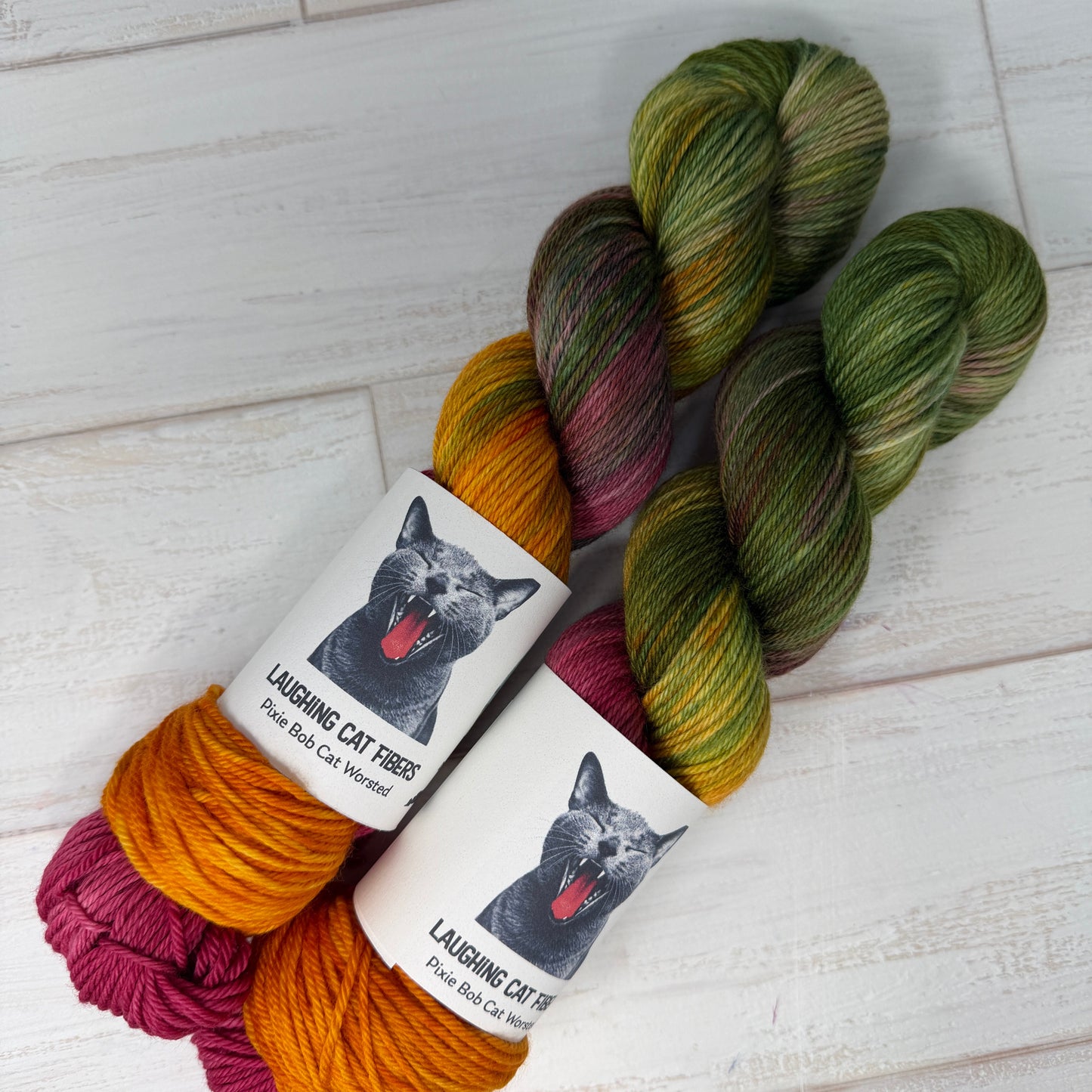 hand dyed worsted yarn by Laughing Cat Fibers in their oranges are not the only fruit colorway 