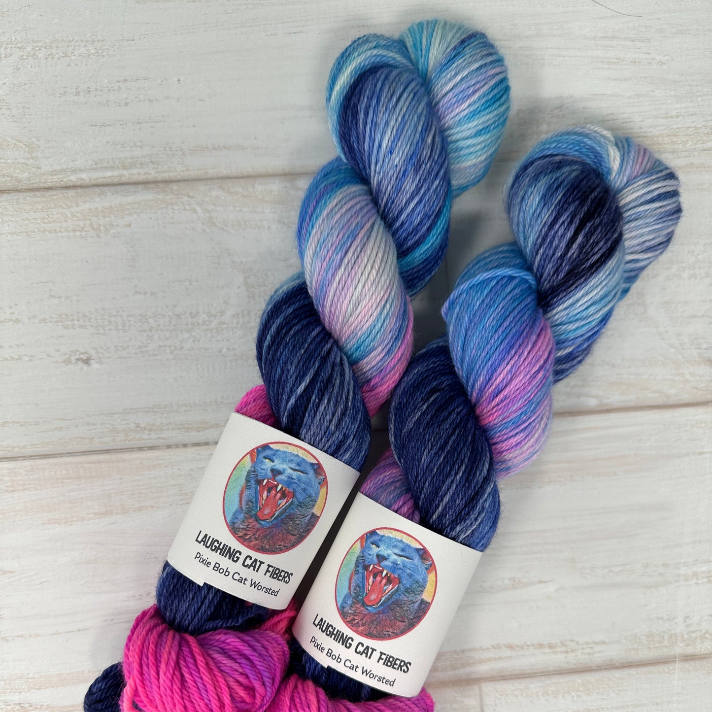 two skeins of worsted yarn hand dyed by Laughing Cat Fibers in their Butterfly Nebula Colorway 