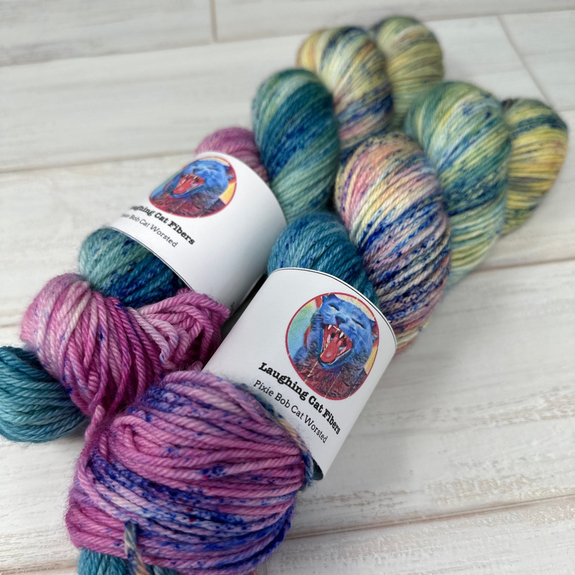 hand dyed worsted yarn in Let them eat cake by Laughing Cat Fibers