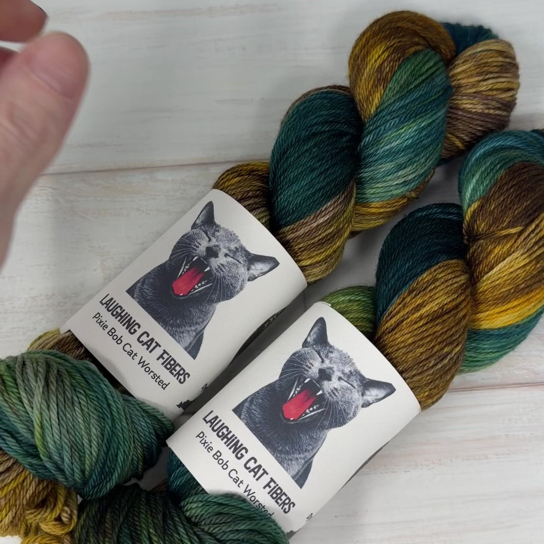 video clip of Pixie Bob Cat worsted yarn in the Winter colorway by Laughing Cat Fibers 