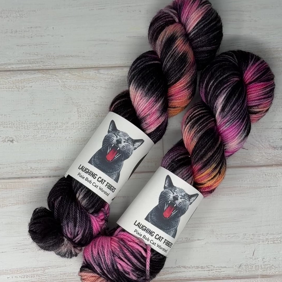 video clip of the Poet X