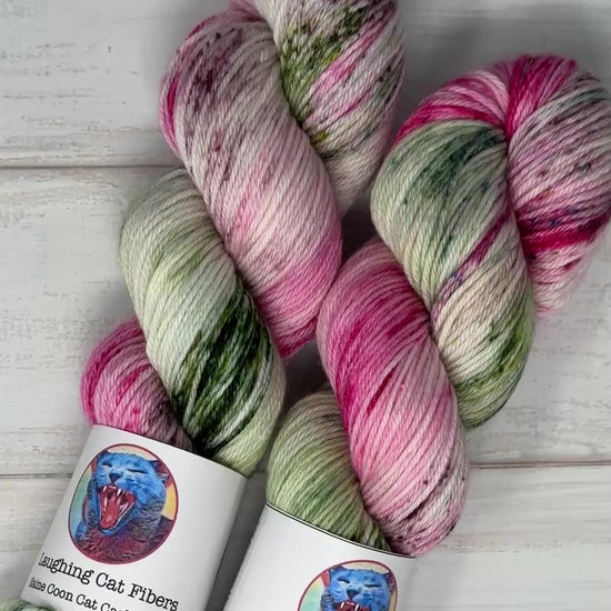 video clip of los cactus hand dyed yarn by Laughing Cat Fibers