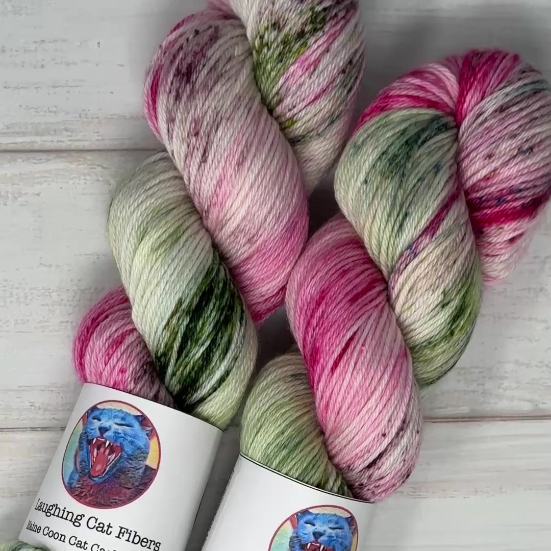 video clip of los cactus hand dyed yarn by Laughing Cat Fibers