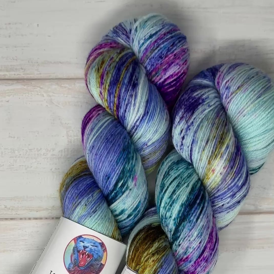 video show and tell of laughing cat fibers hand dyed yarn in their Jupiter colorway 