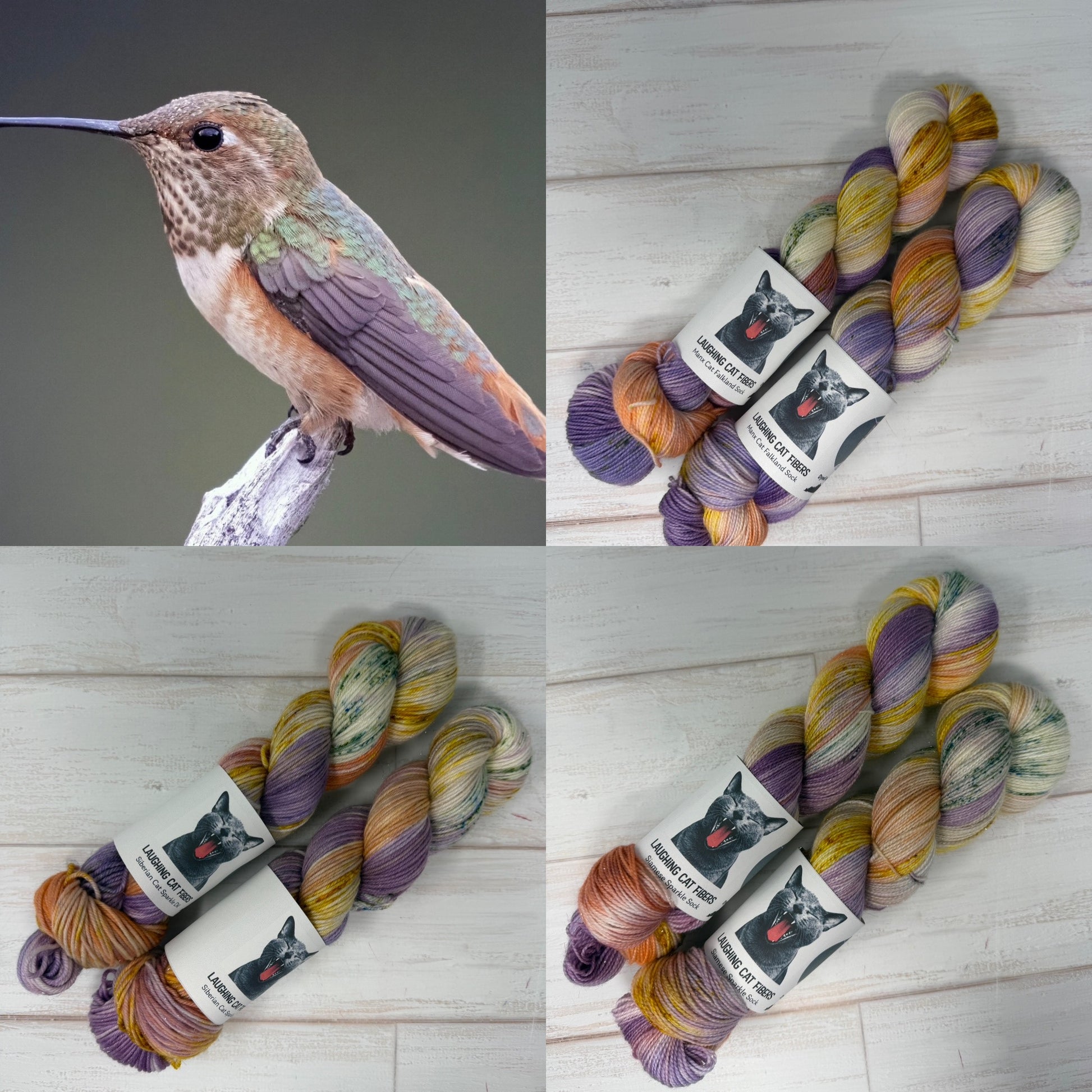 Four-panel collage showing a hummingbird on a branch in the top-left and several skeins of variegated yarn in the other three panels. The yarn labels read 'HUMMINGBIRD COLOR PALETTE' with a black cat logo.