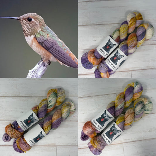 Four-panel collage showing a hummingbird on a branch in the top-left and several skeins of variegated yarn in the other three panels. The yarn labels read 'HUMMINGBIRD COLOR PALETTE' with a black cat logo.