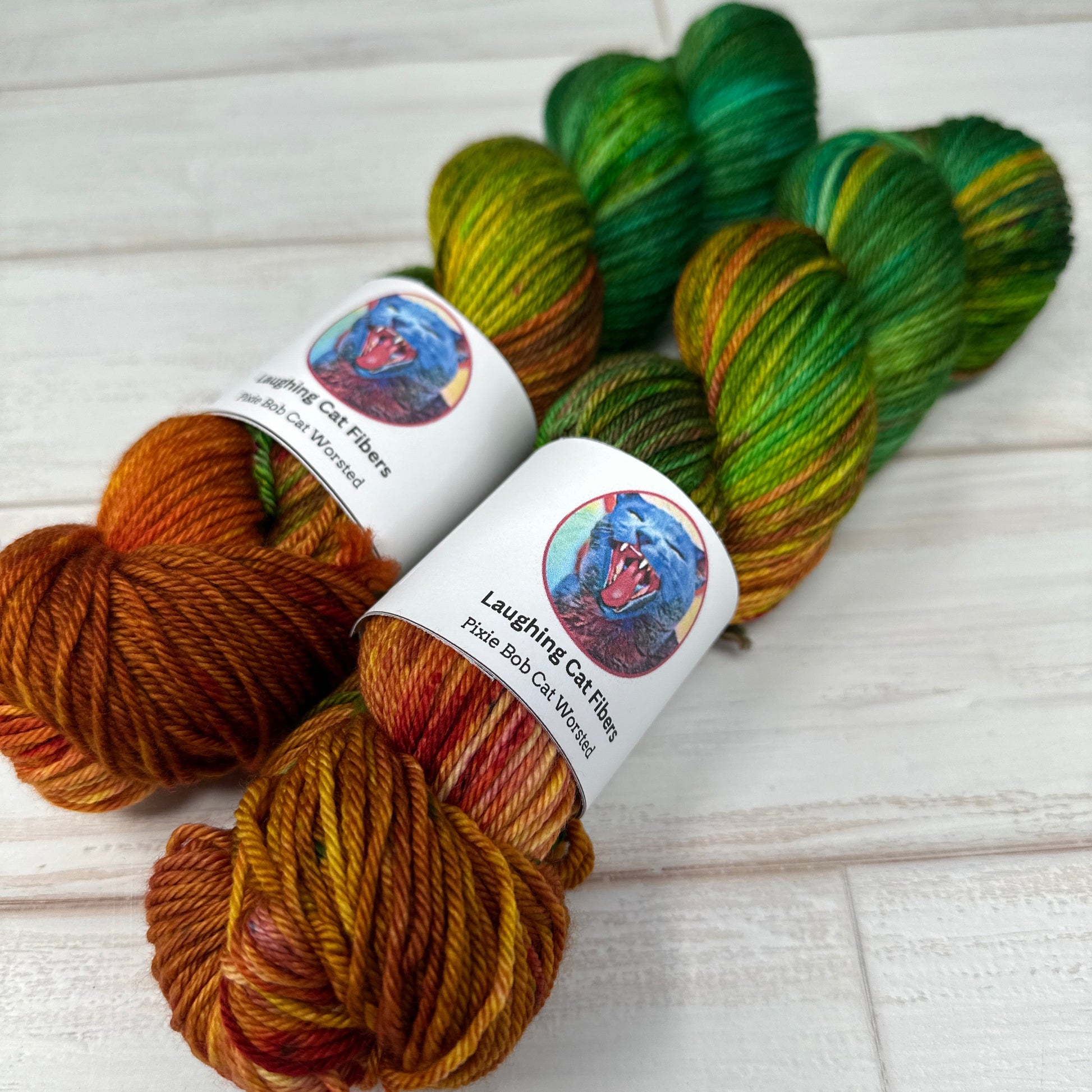 two skeins of worsted yarn hand dyed by Laughing Cat Fibers in their Martha Mansfield colorway 