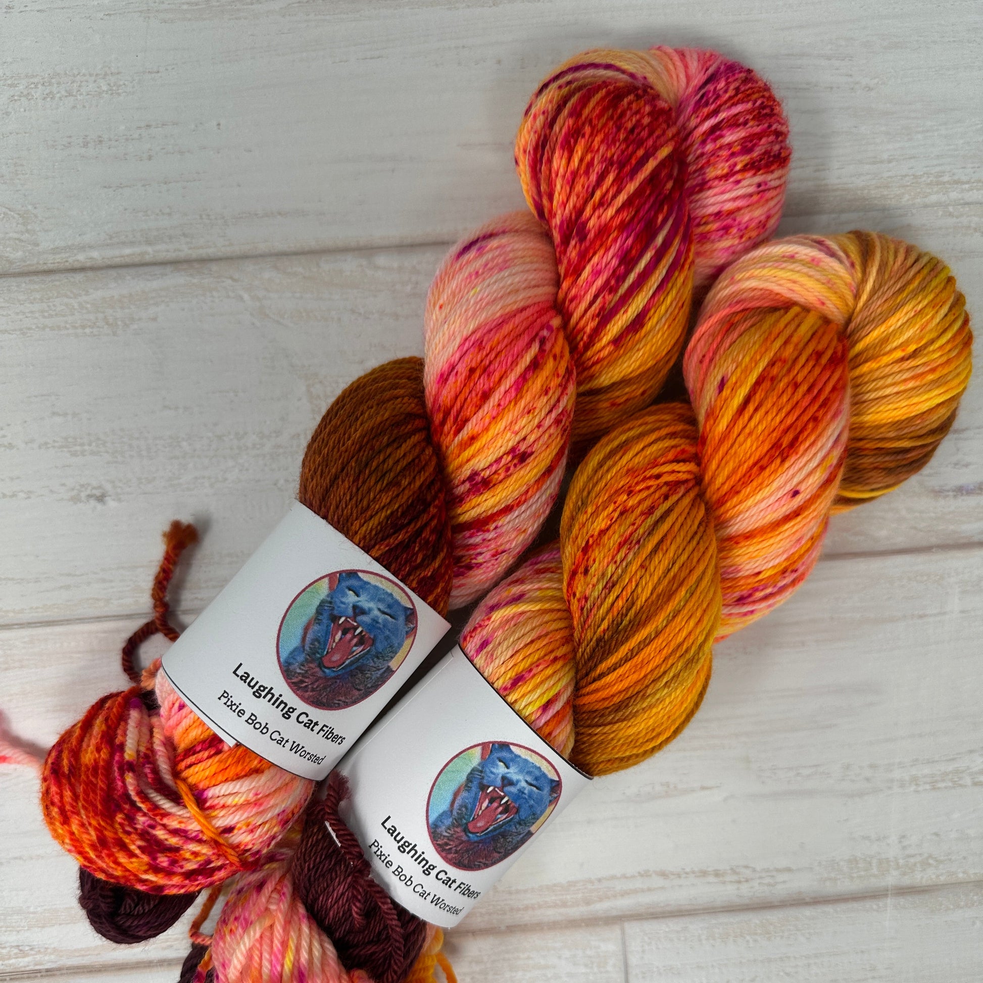 two skeins of hand dyed worsted yarn by Laughing Cat Fibers