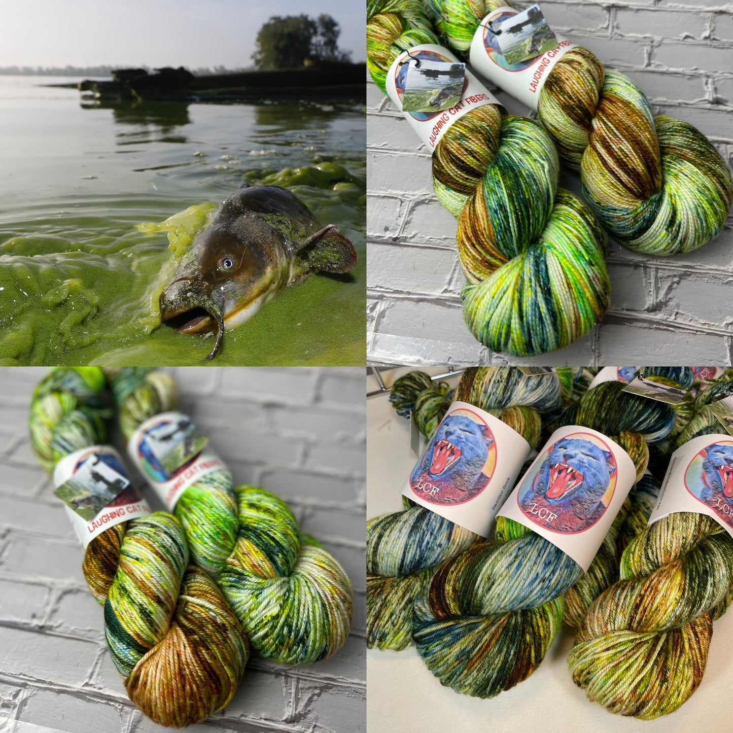 "Lake Erie Algae Bloom" on Various Yarn Bases