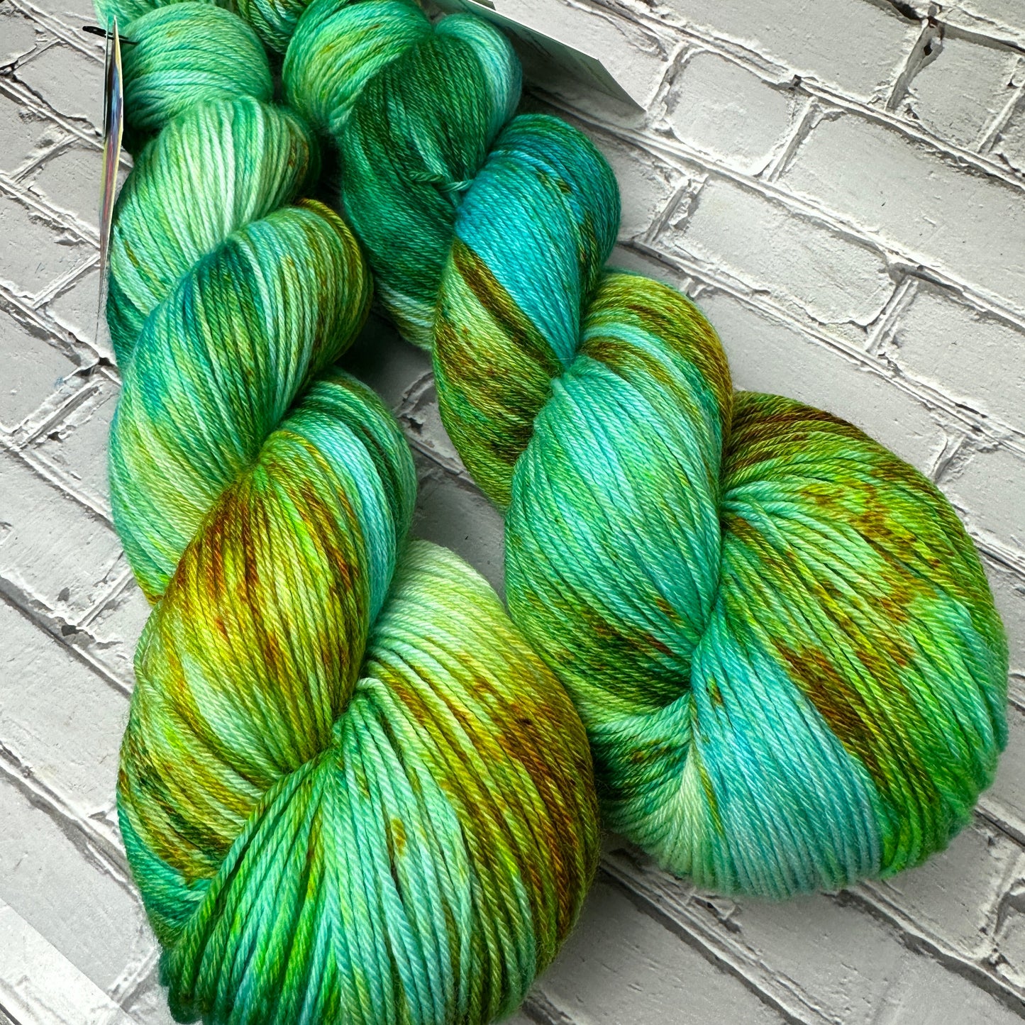 two skeins of hand dyed yarn by Laughing Cat Fibers in their Copper Patina colorway 