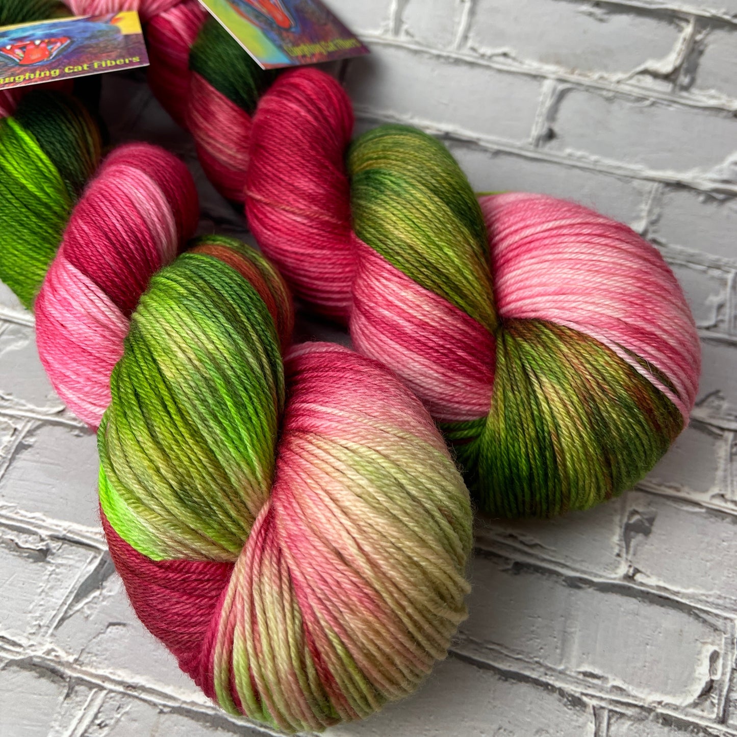 two skeins of MCN fingering yarn hand dyed by Laughing Cat Fibers in their Viva la Vida colorway 