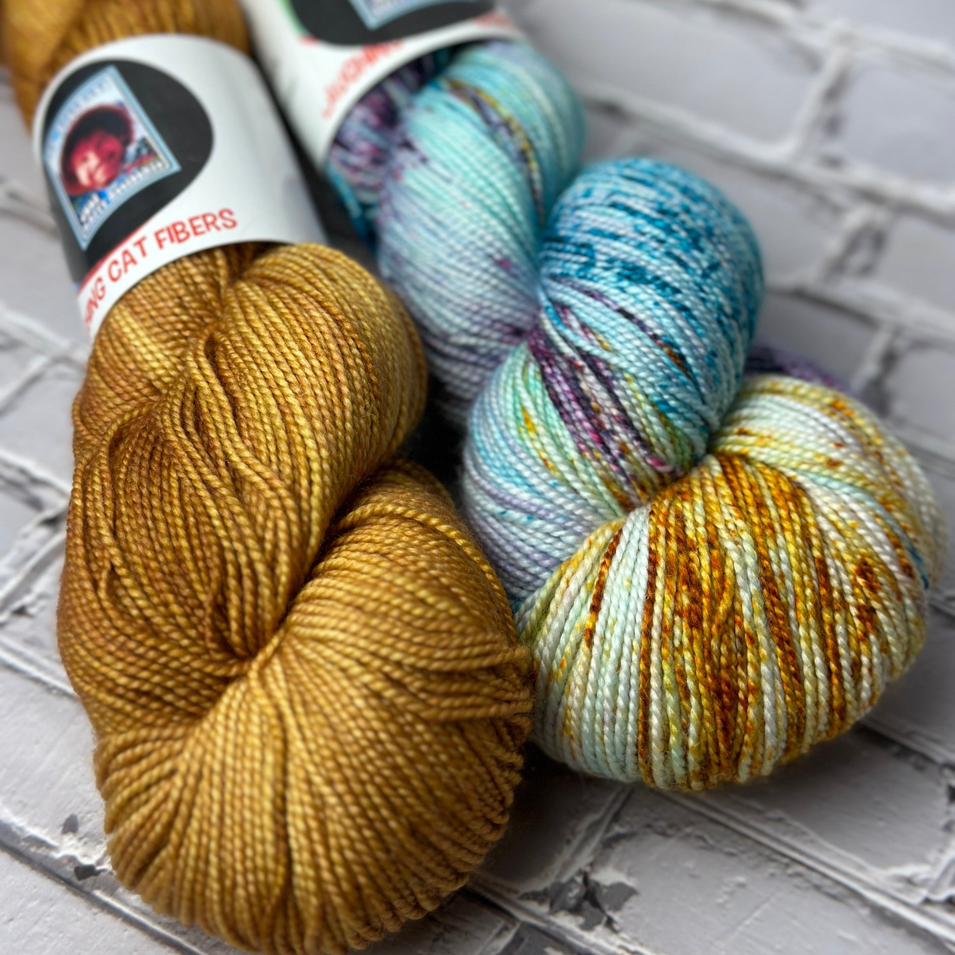 two skeins of hand dyed yarn that compliment each other dyed by Laughing Cat Fibers